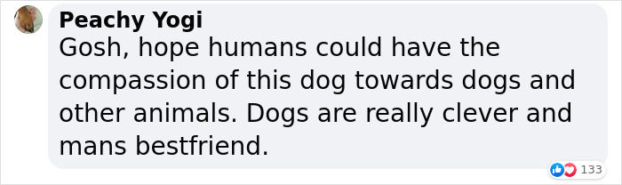 Dog Won't Stop Barking At This Stranger Who Stopped To Pet Him, Leads Him Into The Mountains To This Abandoned Baby