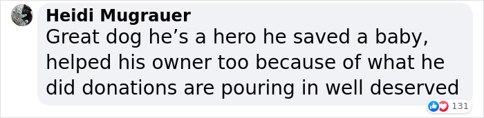 Dog Won't Stop Barking At This Stranger Who Stopped To Pet Him, Leads Him Into The Mountains To This Abandoned Baby