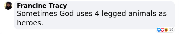 Dog Won't Stop Barking At This Stranger Who Stopped To Pet Him, Leads Him Into The Mountains To This Abandoned Baby Dog Won't Stop Barking At This Stranger Who Stopped To Pet Him, Leads Him Into The Mountains To This Abandoned Baby