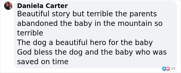 Dog Won't Stop Barking At This Stranger Who Stopped To Pet Him, Leads Him Into The Mountains To This Abandoned Baby