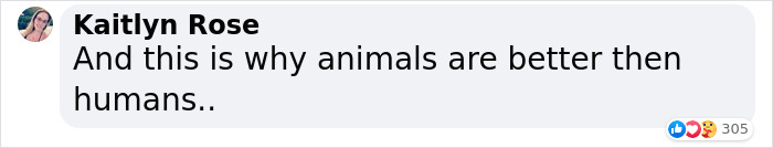 Dog Won't Stop Barking At This Stranger Who Stopped To Pet Him, Leads Him Into The Mountains To This Abandoned Baby