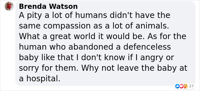 Dog Won't Stop Barking At This Stranger Who Stopped To Pet Him, Leads Him Into The Mountains To This Abandoned Baby Dog Won't Stop Barking At This Stranger Who Stopped To Pet Him, Leads Him Into The Mountains To This Abandoned Baby