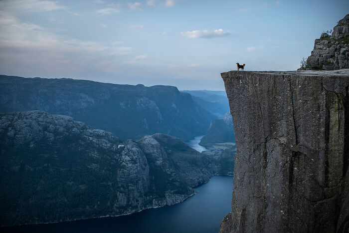 One Way Ticket To Paradise - I Will Take You On A Little Journey