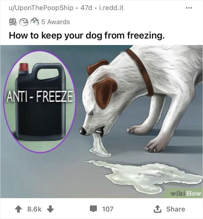 Alternate-Fake-Captions-Out-Of-Context-Wikihow-Pics