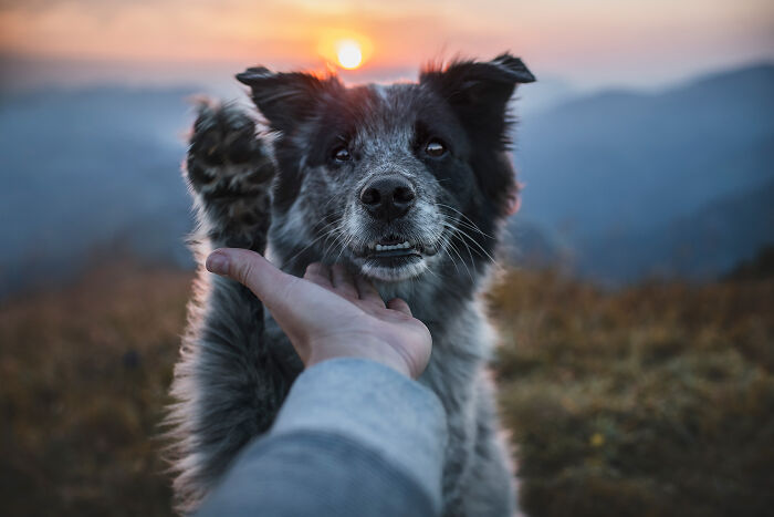 One Way Ticket To Paradise - I Will Take You On A Little Journey