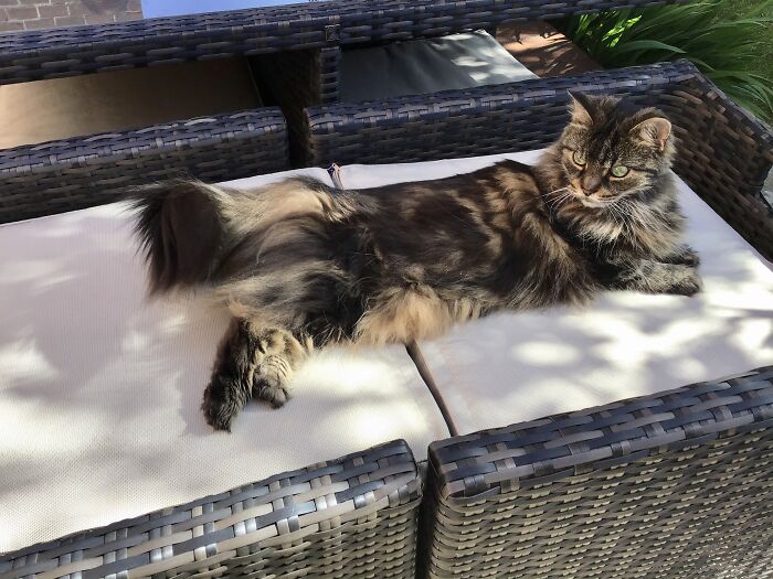 Why Have One Chair When You Can Have Two!