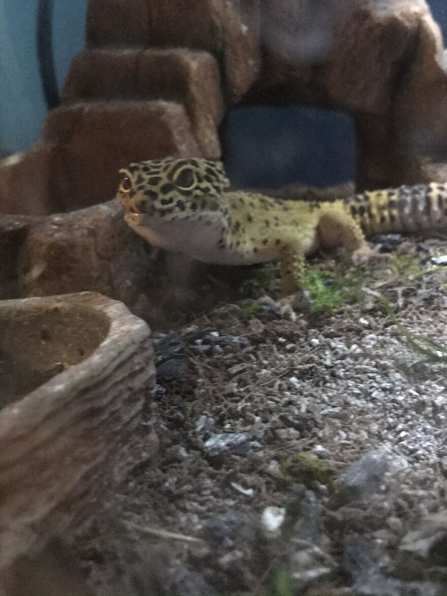 Thought You Guys Might Like Some Cute Animals :) Thought You Guys Might Like Some Cute Animals :)