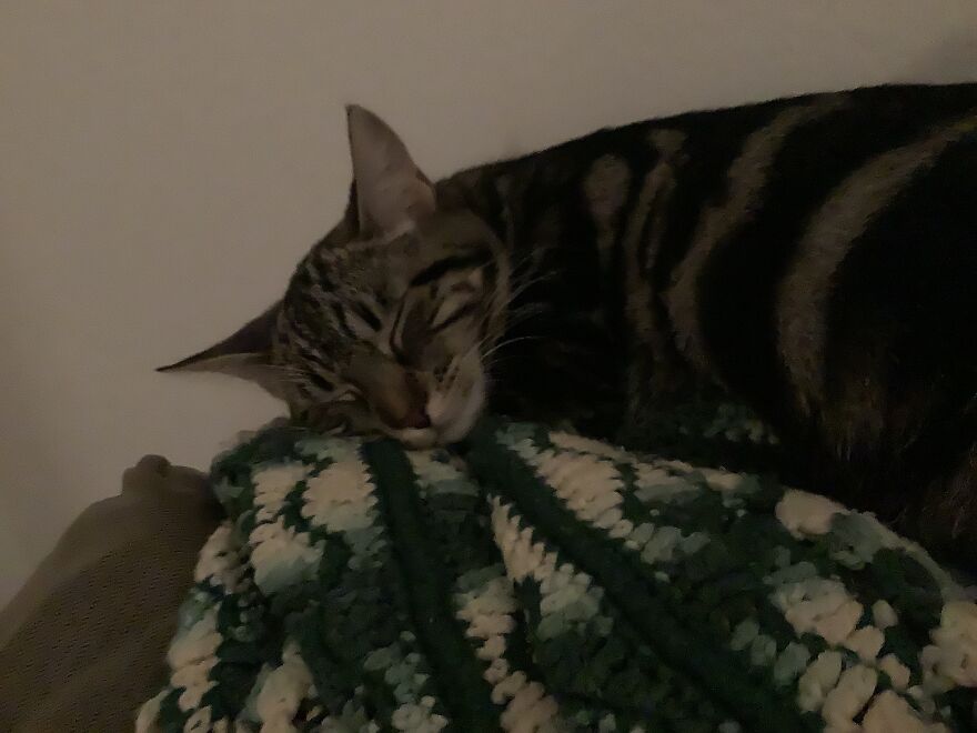 Named After Us Female Soccer Player Megan Rapinoe(Her Name Is Pinoe)