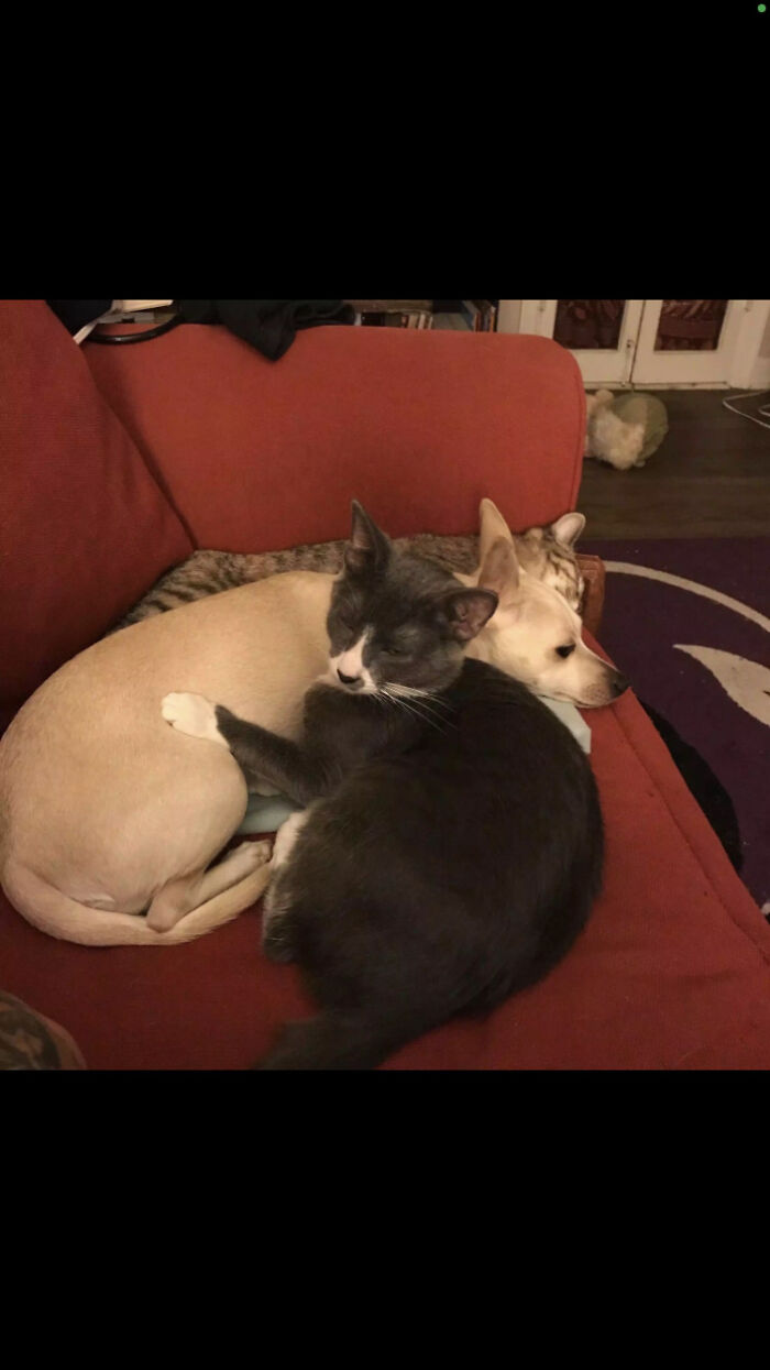 Kaya, Hope, And Momo