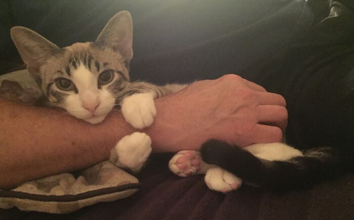 Sophie At 3 Months...