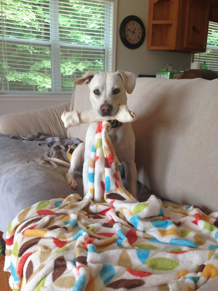 Juno In A Surprising Photo I Did Not Stage