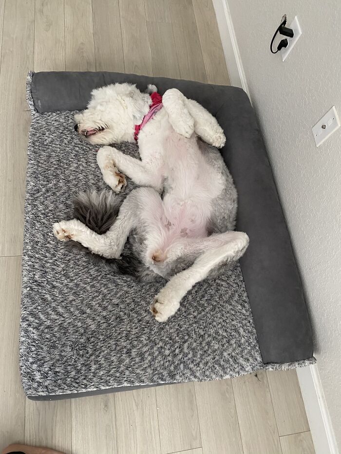 How I Sleep The Night Before I Complain My Back Hurts