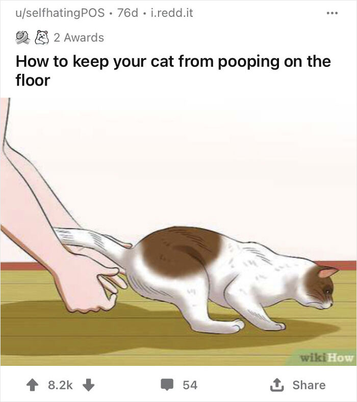 WikiHow-style illustration with a humorous caption about preventing cat messes.