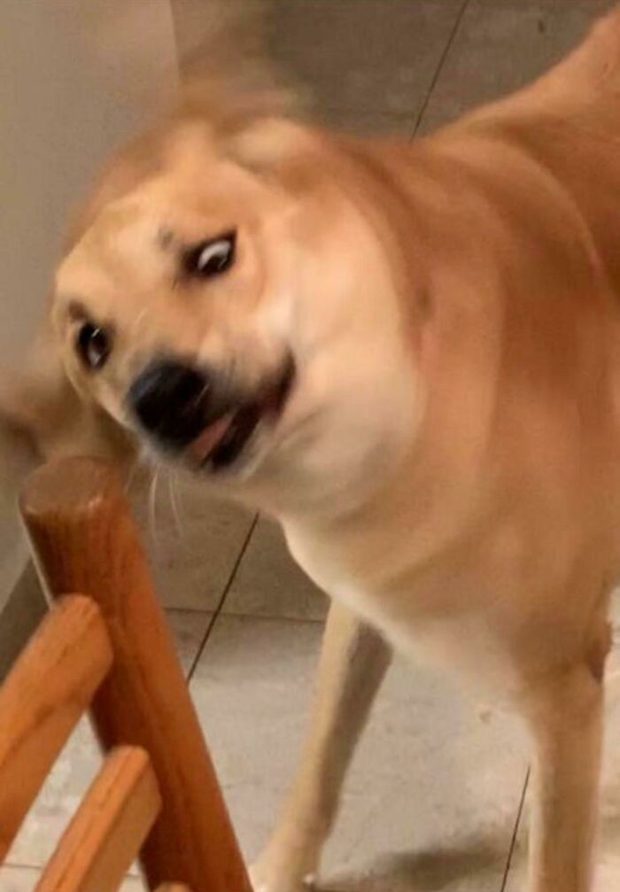 Not One Of Daisy’s Brightest Look...