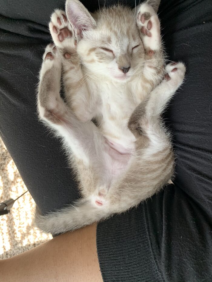 20 Min Later Still Wondering How Is Something Not Aching?