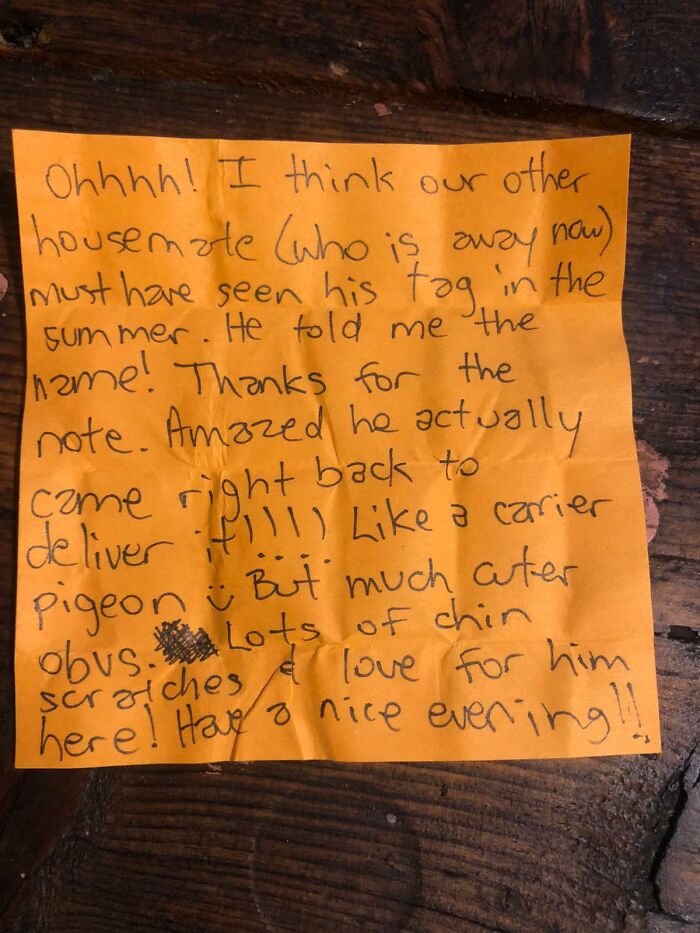 Cat Brings Its Parents A Note From The Neighbors He Visits, They Become Pen Pals With The Cat As Their Postman Cat Brings Its Parents A Note From The Neighbors He Visits, They Become Pen Pals With The Cat As Their Postman