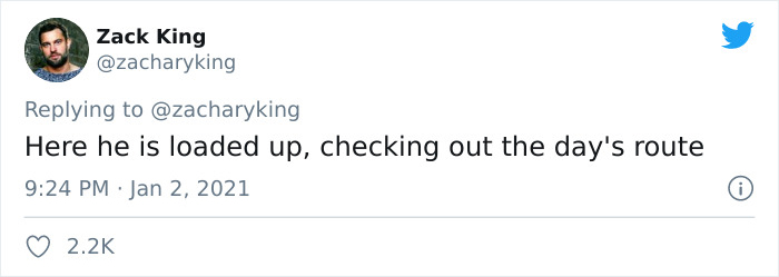 Cat Brings Its Parents A Note From The Neighbors He Visits, They Become Pen Pals With The Cat As Their Postman