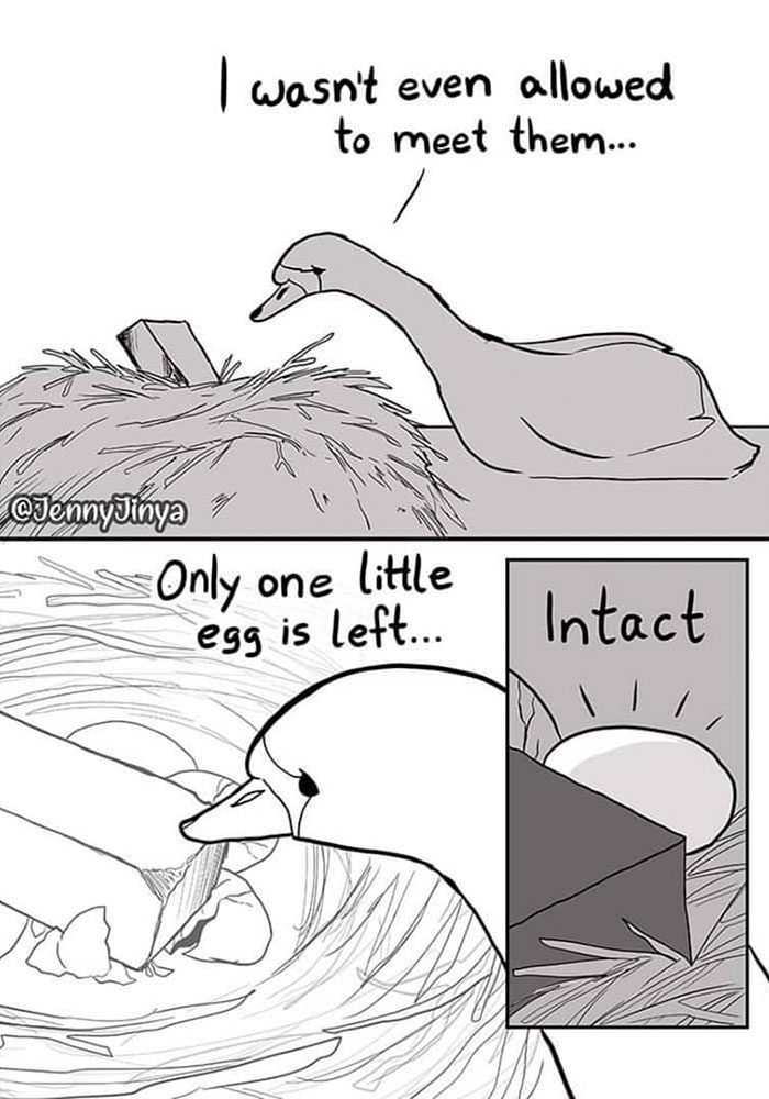 Artist Who Makes People Cry With Her Animal Comics Just Released A New One About A Swan Inspired By True Events Artist Who Makes People Cry With Her Animal Comics Just Released A New One About A Swan Inspired By True Events