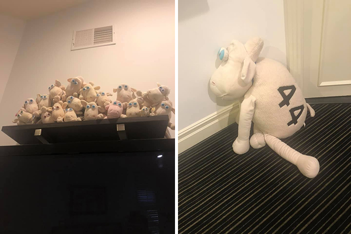 My Son Has Collected The “Serta” Sheep Since He Saw One At A Store When He Was Little