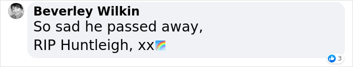 2 Friends Find A Cat Buried In The Snow, Only To Discover It Was One Of The Most Endangered Mammals In Europe 2 Friends Find A Cat Buried In The Snow, Only To Discover It Was One Of The Most Endangered Mammals In Europe