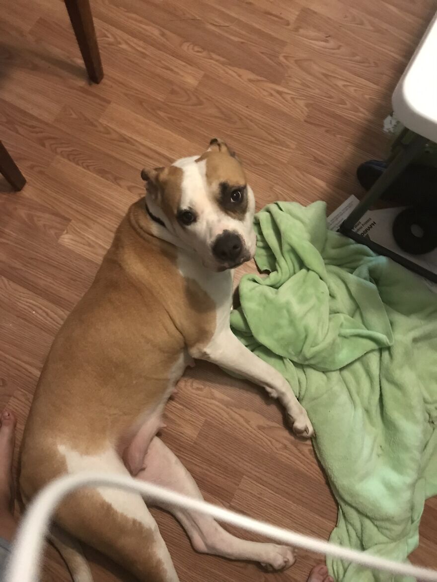 Thought You Guys Might Like Some Cute Animals :)