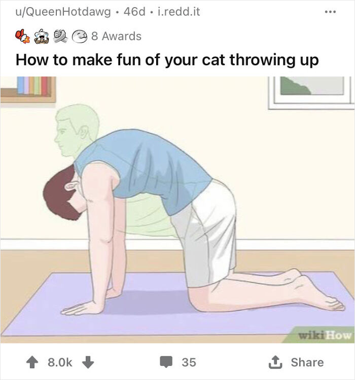 Alternate-Fake-Captions-Out-Of-Context-Wikihow-Pics