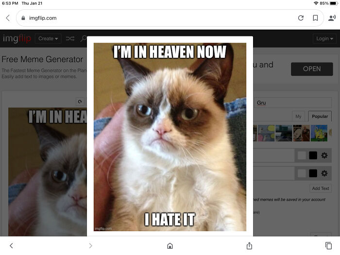 I’ll Always Miss You, Grumpy Cat