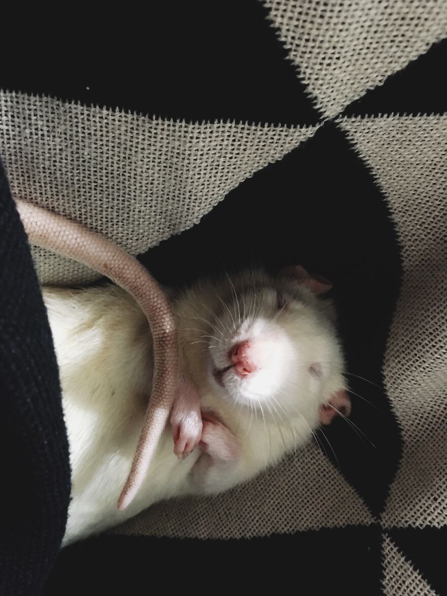 Sleepy Days And Nights