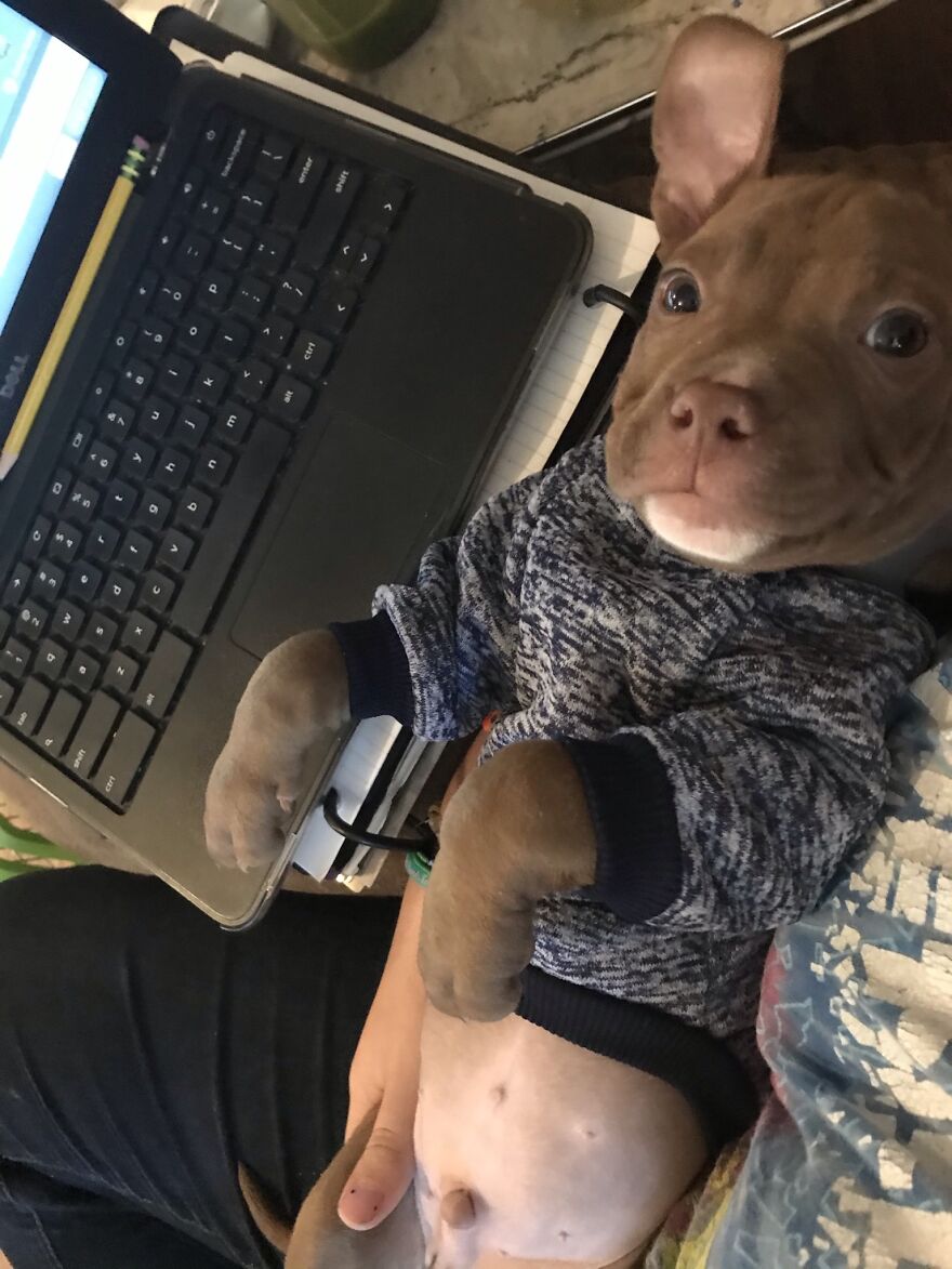 Thought You Guys Might Like Some Cute Animals :)