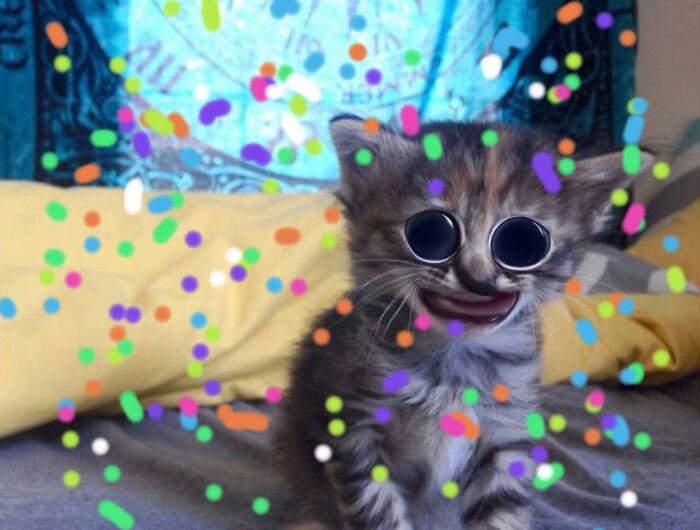 Sugar High!!! 😃😃😃😃😃😃😃😃😃