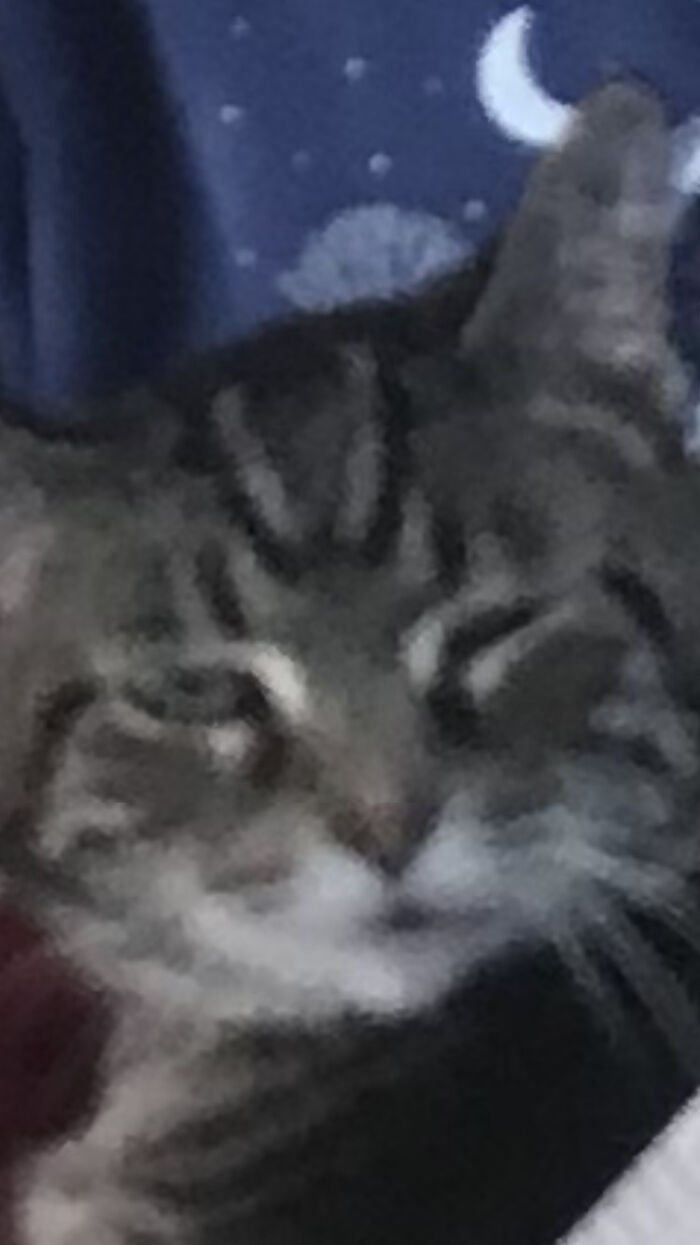 Not Sure What This Expression Is.....