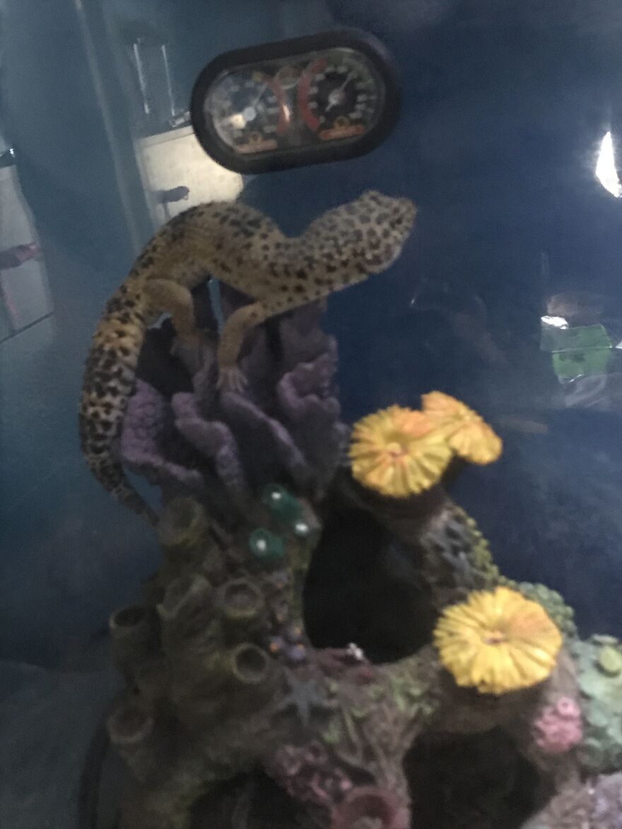 Thought You Guys Might Like Some Cute Animals :) Thought You Guys Might Like Some Cute Animals :)