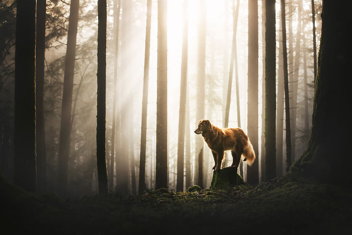 One Way Ticket To Paradise - I Will Take You On A Little Journey