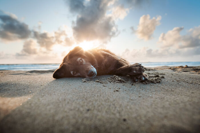 One Way Ticket To Paradise - I Will Take You On A Little Journey