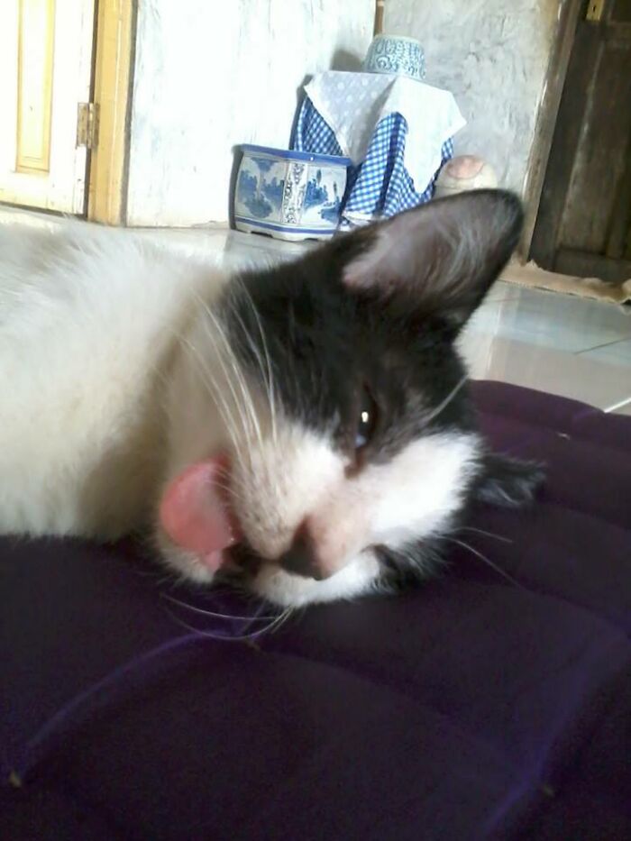 I Miss You, Buddy...