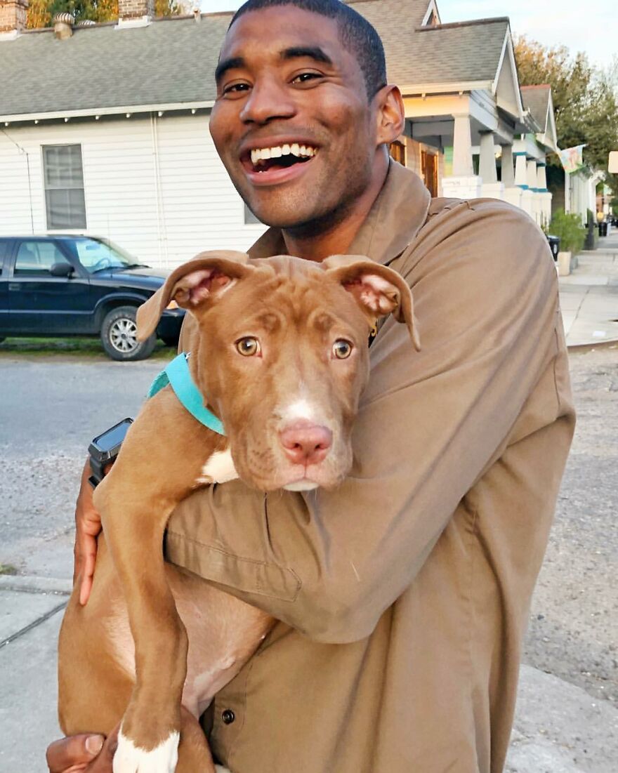Delivery Man Continues To Take Breaks On The Way To Take Pictures And Pet The Dogs He Meets (New Pics)