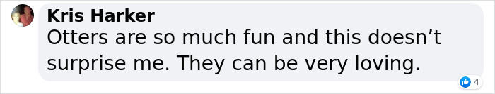 Pet Otter Cuddles Up To A Kitten As They Go To Sleep And 8M People On YouTube Are Captivated Pet Otter Cuddles Up To A Kitten As They Go To Sleep And 8M People On YouTube Are Captivated