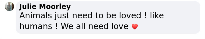 Pet Otter Cuddles Up To A Kitten As They Go To Sleep And 8M People On YouTube Are Captivated Pet Otter Cuddles Up To A Kitten As They Go To Sleep And 8M People On YouTube Are Captivated