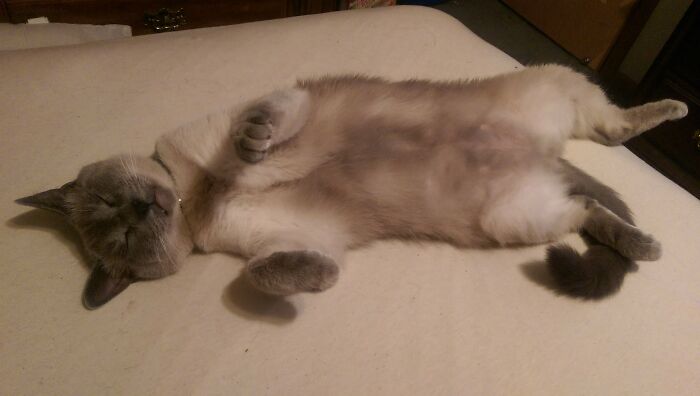 It's Been A Long Day