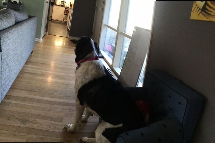 Attempting To Be Cute(Failing)