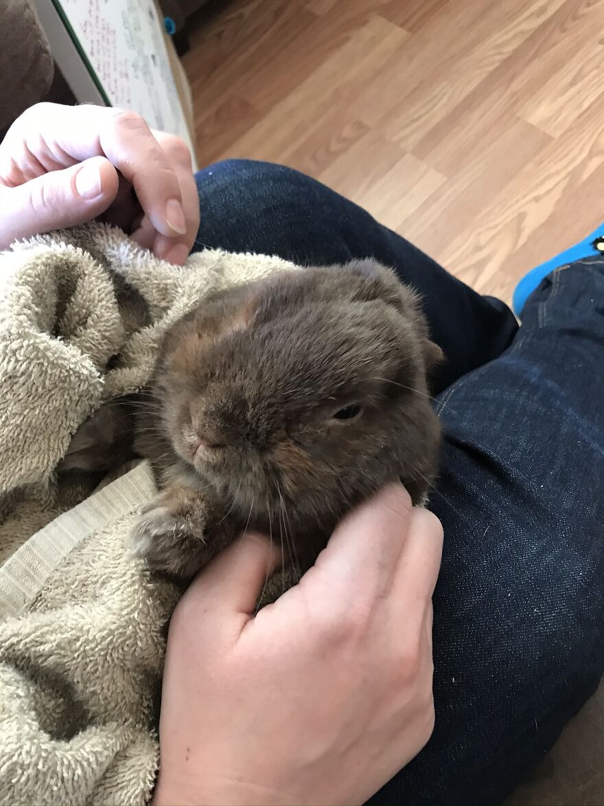 Thought You Guys Might Like Some Cute Animals :)