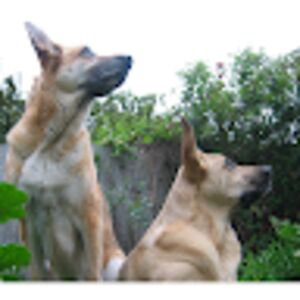 happinesshealthpeace avatar