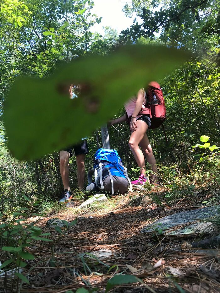 A Leaf Fell In Front Of My Phone The Second It Took A Timed Photo