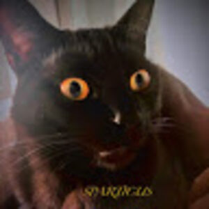 sparticusharlow avatar