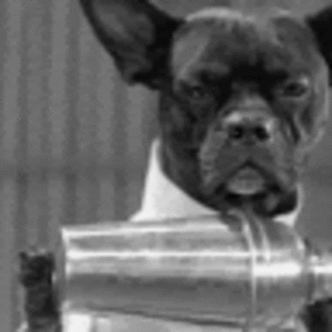 livingexample avatar