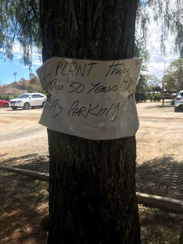 I Planted This Tree So You Can’t Part Here. Sure