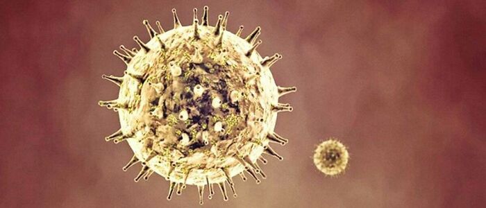 Today-I-Learned-Facts