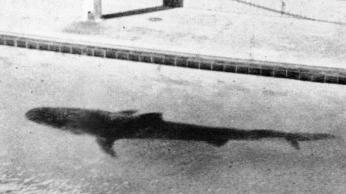 Today-I-Learned-Facts