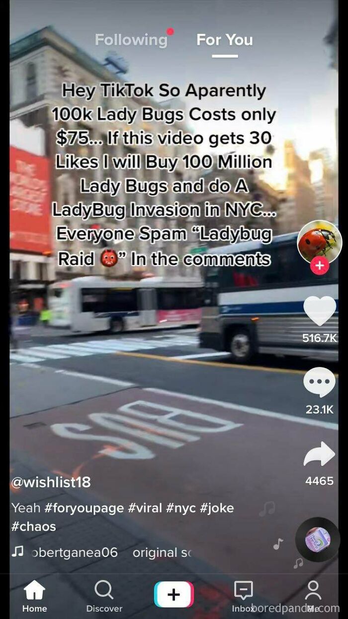 Killing Important Farm Insects For A Tiktok