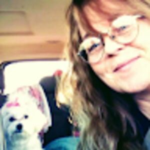 peekaboohidenseeken avatar